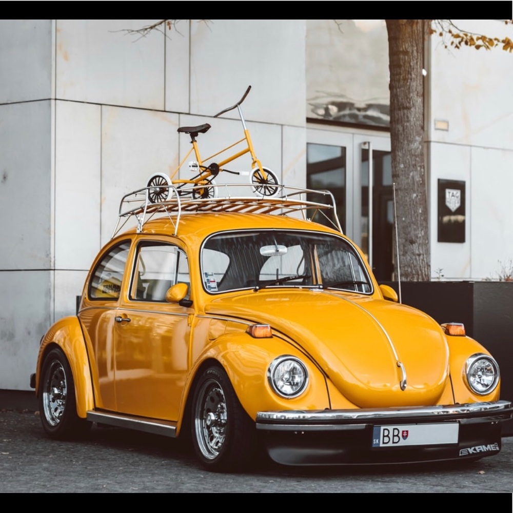 Meet your Posher, Bella